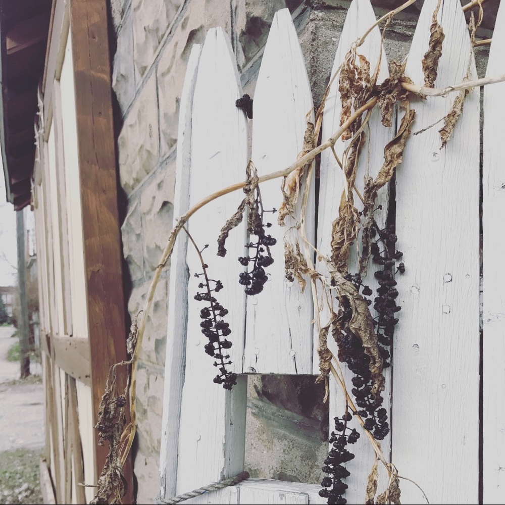 Meet your Posher, Cailin